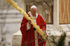 pope palm sunday 1.jpg